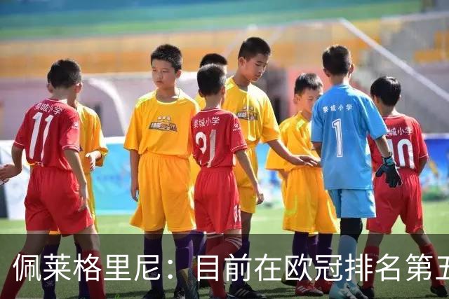 佩莱格里尼：目前在欧冠排名第五？已朝着直接晋级迈出一大步