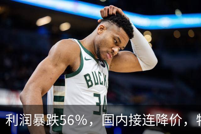 利润暴跌56％，国内接连降价，特斯拉的中国智驾何时兑现？