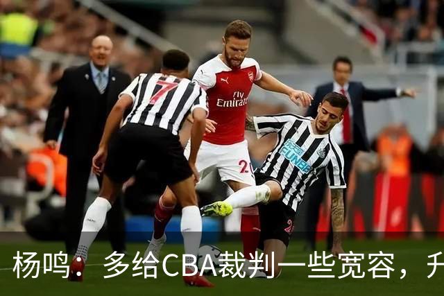 杨鸣：多给CBA裁判一些宽容，升降级了谁也不可能胡来