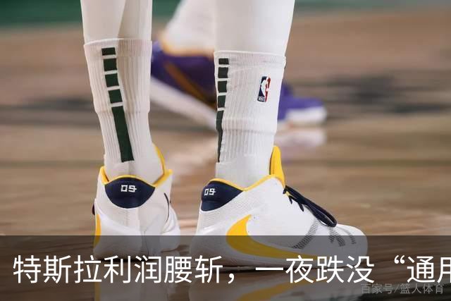 特斯拉利润腰斩，一夜跌没“通用汽车”！马斯克：FSD在中国也会遥遥领先