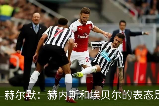 赫尔默：赫内斯和埃贝尔的表态是在警告卡尔，他需要改进