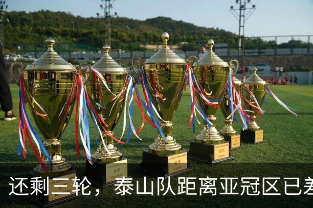还剩三轮，泰山队距离亚冠区已差5分，济南文旅长出一口气