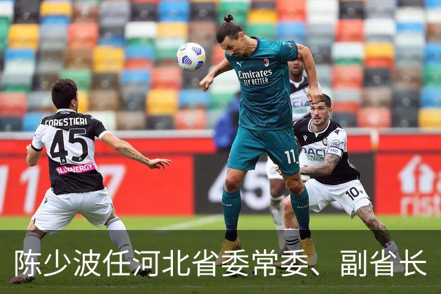 陈少波任河北省委常委、副省长