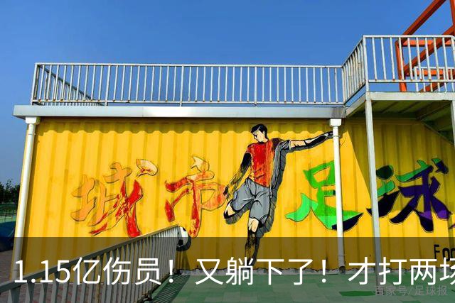 1.15亿伤员！又躺下了！才打两场！猛龙赌输了吗？