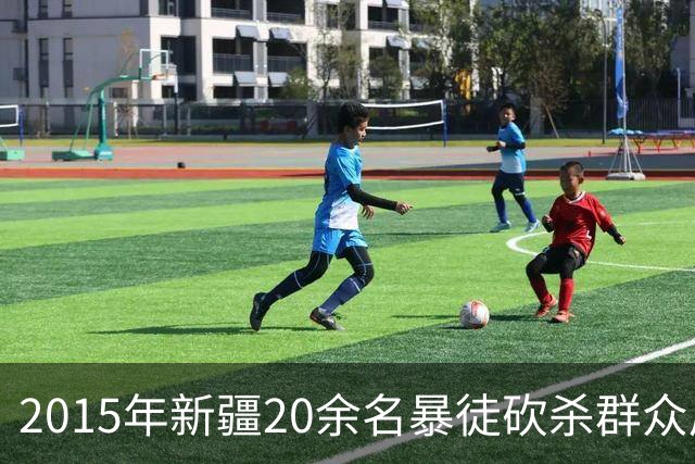 2015年新疆20余名暴徒砍杀群众后藏身深山，武警历时56天追捕凶手