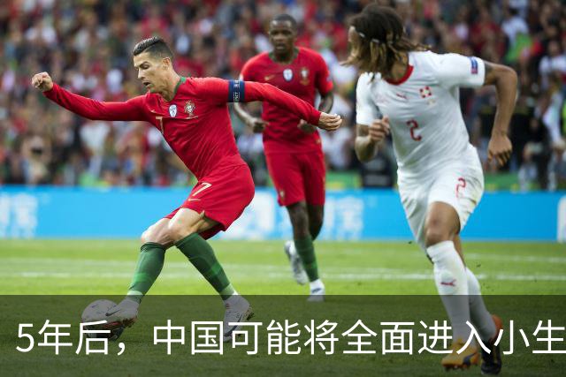 5年后，中国可能将全面进入小生意时代——人人都是"一人公司"