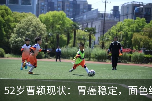52岁曹颖现状：胃癌稳定，面色红润，身家上亿，一米八儿子成骄傲